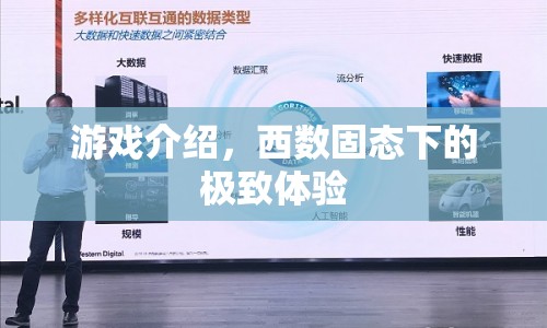 西數(shù)固態(tài)下的極致游戲體驗(yàn)