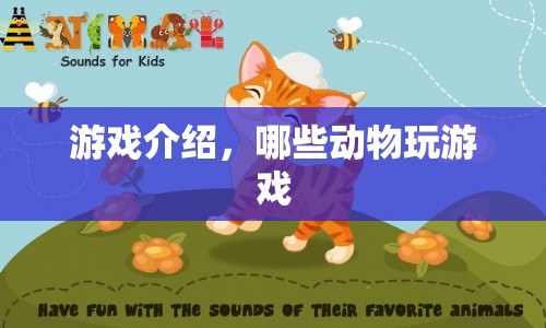 動物也愛玩游戲？揭秘動物界的游戲行為