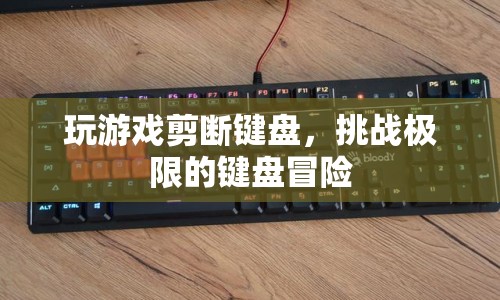 鍵盤冒險，挑戰(zhàn)極限，剪斷鍵盤的驚險游戲之旅