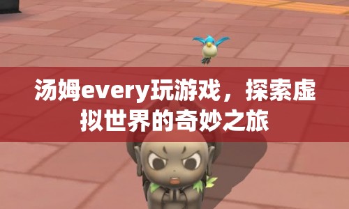 湯姆every的虛擬世界探險之旅