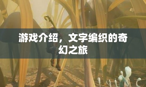 文字編織的奇幻之旅，一場游戲盛宴