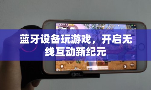 藍(lán)牙設(shè)備開啟無線互動游戲新紀(jì)元