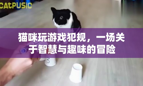 貓咪游戲犯規(guī)，智慧與趣味并存的冒險(xiǎn)之旅  第1張