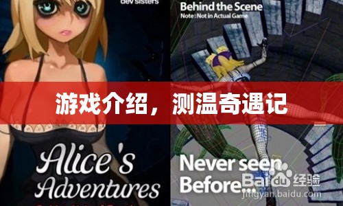 測溫奇遇記，一場游戲之旅