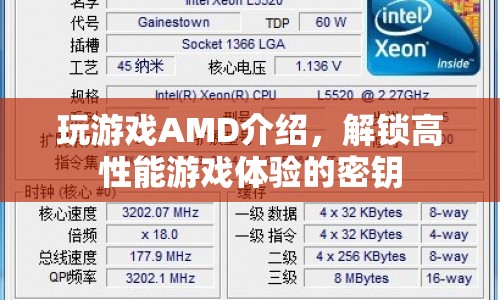 解鎖高性能游戲體驗(yàn)，AMD游戲處理器全解析