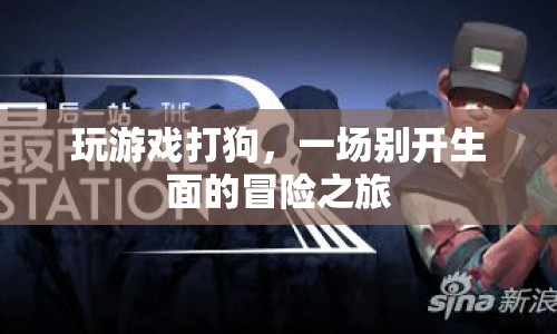一場別開生面的冒險之旅，玩游戲打狗