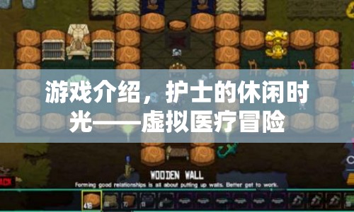 護(hù)士的虛擬醫(yī)療冒險之旅