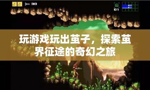 繭界征途，探索奇幻之旅的繭子