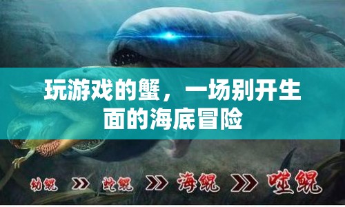 海底冒險，玩游戲的蟹