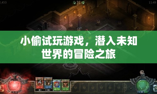 小偷的冒險之旅，潛入未知世界的游戲之旅