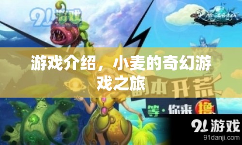 小麥的奇幻游戲之旅，探索未知世界的冒險之旅