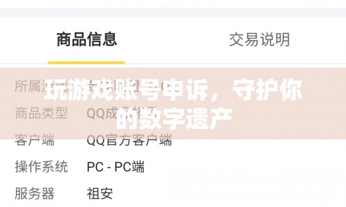 如何有效申訴游戲賬號(hào)，守護(hù)你的數(shù)字遺產(chǎn)？