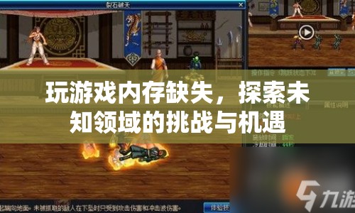 探索未知領域的挑戰(zhàn)與機遇，游戲內(nèi)存缺失的啟示