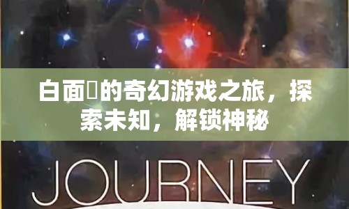 白面鸮的奇幻冒險，解鎖神秘，探索未知之旅