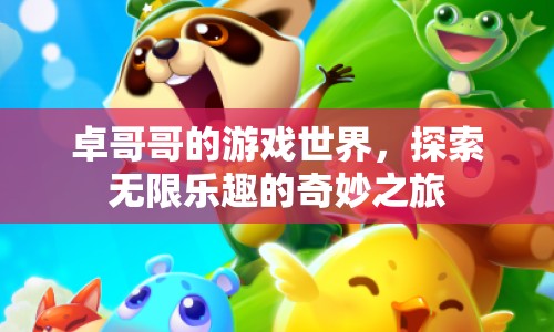 探索奇妙之旅，卓哥哥的游戲世界