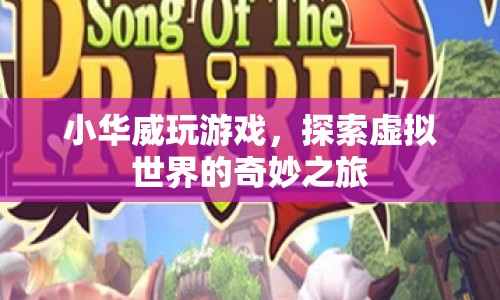 小華威的虛擬世界探險(xiǎn)之旅