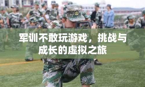 軍訓挑戰(zhàn)，虛擬之旅中的成長與突破