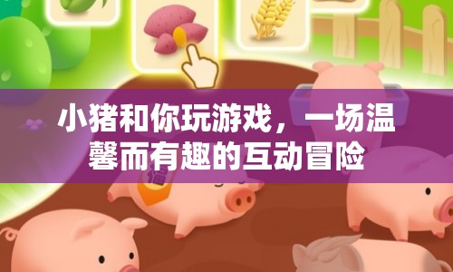 小豬與你，溫馨互動(dòng)冒險(xiǎn)游戲
