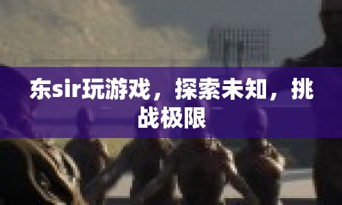 東sir游戲探索，挑戰(zhàn)極限，解鎖未知