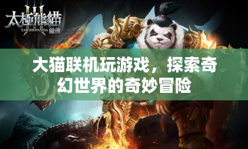 大貓聯(lián)機探索奇幻世界冒險
