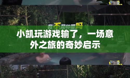 小凱的意外之旅，游戲輸?shù)舻膯⑹? class=