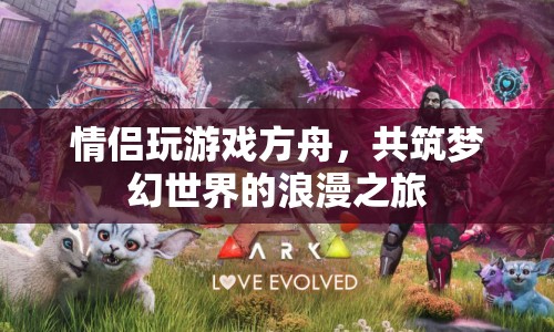 情侶共筑夢幻世界的浪漫之旅，方舟游戲之旅