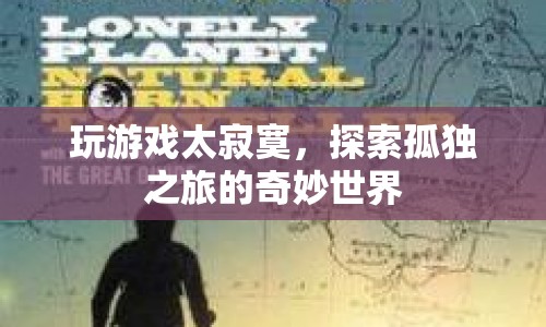探索孤獨(dú)之旅，游戲世界中的奇妙與寂寞