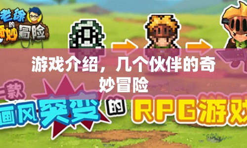 幾個伙伴的奇妙冒險之旅