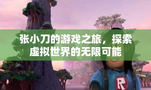 張小刀的游戲之旅，探索虛擬世界的無限可能