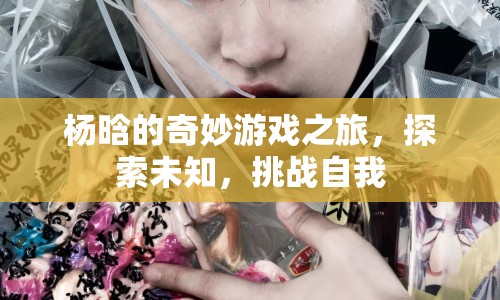 楊晗的奇妙冒險(xiǎn)，探索未知，挑戰(zhàn)自我