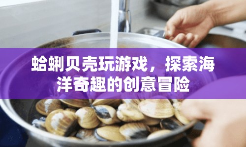 蛤蜊貝殼的海洋奇趣冒險之旅