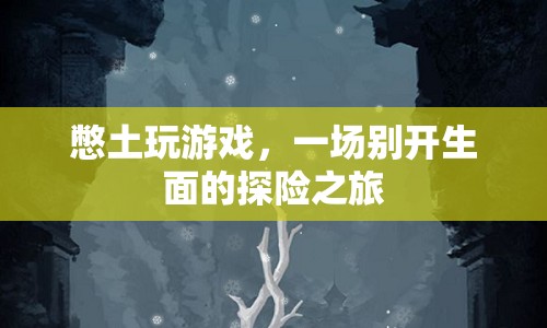 憋土玩游戲，開(kāi)啟一場(chǎng)別開(kāi)生面的探險(xiǎn)之旅