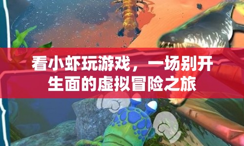 小蝦的虛擬冒險之旅，一場別開生面的游戲盛宴