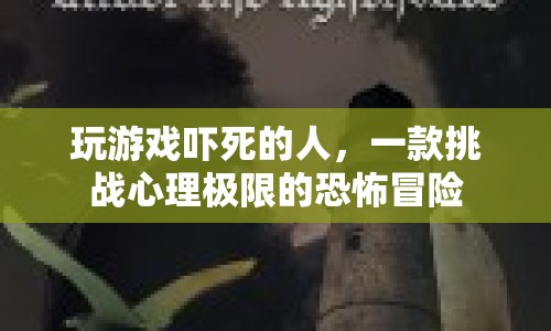 恐怖冒險游戲，挑戰(zhàn)心理極限，玩家竟被嚇死！