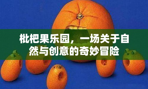 枇杷果樂園，自然與創(chuàng)意的奇妙冒險之旅