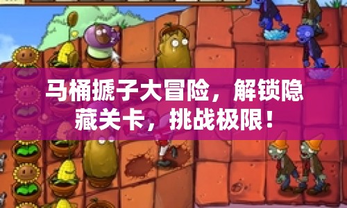 馬桶搋子大冒險，解鎖隱藏關(guān)卡，挑戰(zhàn)極限！