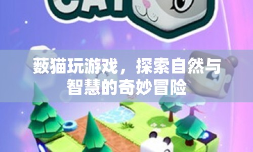 藪貓?zhí)诫U(xiǎn)，自然與智慧的奇妙冒險(xiǎn)
