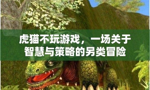 虎貓不玩游戲，智慧與策略的另類冒險(xiǎn)之旅