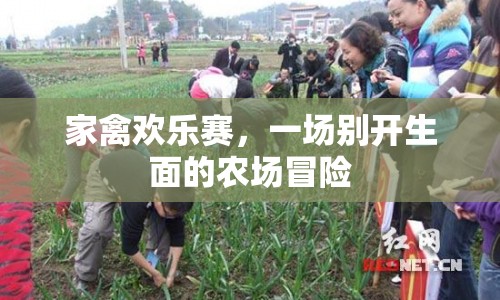 家禽歡樂(lè)賽，農(nóng)場(chǎng)冒險(xiǎn)的盛宴