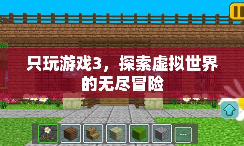 探索虛擬世界的無盡冒險(xiǎn)，游戲3的奇妙之旅