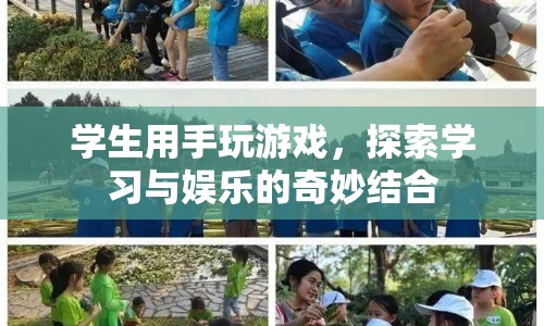學(xué)生手游，探索學(xué)習(xí)與娛樂的奇妙結(jié)合