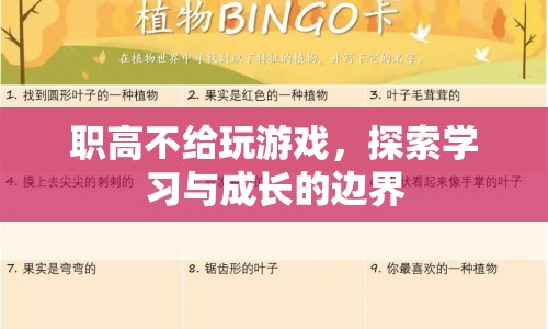 職高禁止游戲，探索學(xué)習(xí)與成長(zhǎng)的界限