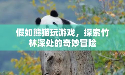 熊貓竹林探險，奇妙冒險游戲