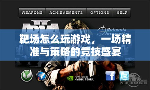 靶場，精準(zhǔn)與策略的競技盛宴