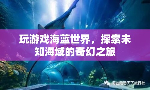 探索未知海域，海藍(lán)世界的奇幻之旅