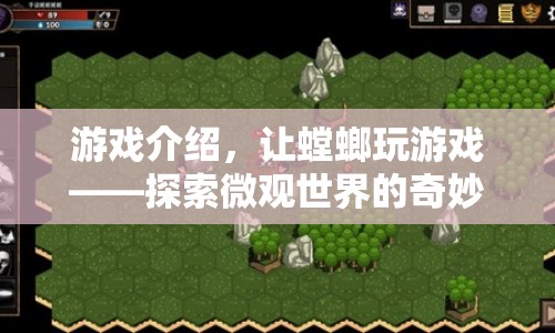 螳螂的奇妙冒險，探索微觀世界的游戲之旅