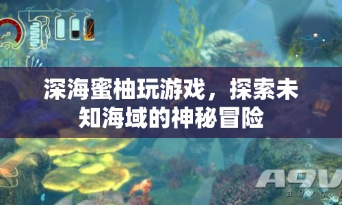 深海蜜柚的冒險(xiǎn)，探索未知海域的神秘之旅
