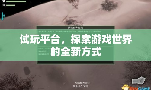 試玩平臺(tái)，探索游戲世界的全新方式