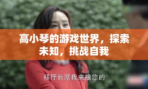 高小琴，游戲世界中的探索與挑戰(zhàn)