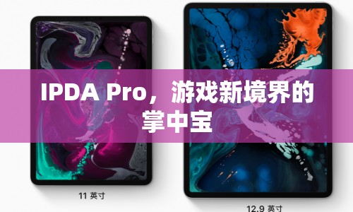 IPDA Pro，游戲新境界的掌中寶